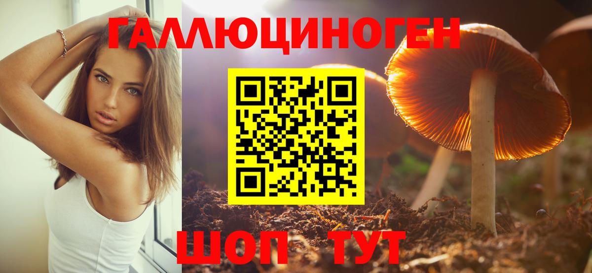 Клин  Галлюциногенные грибы Psilocybe  Вход с VPN 